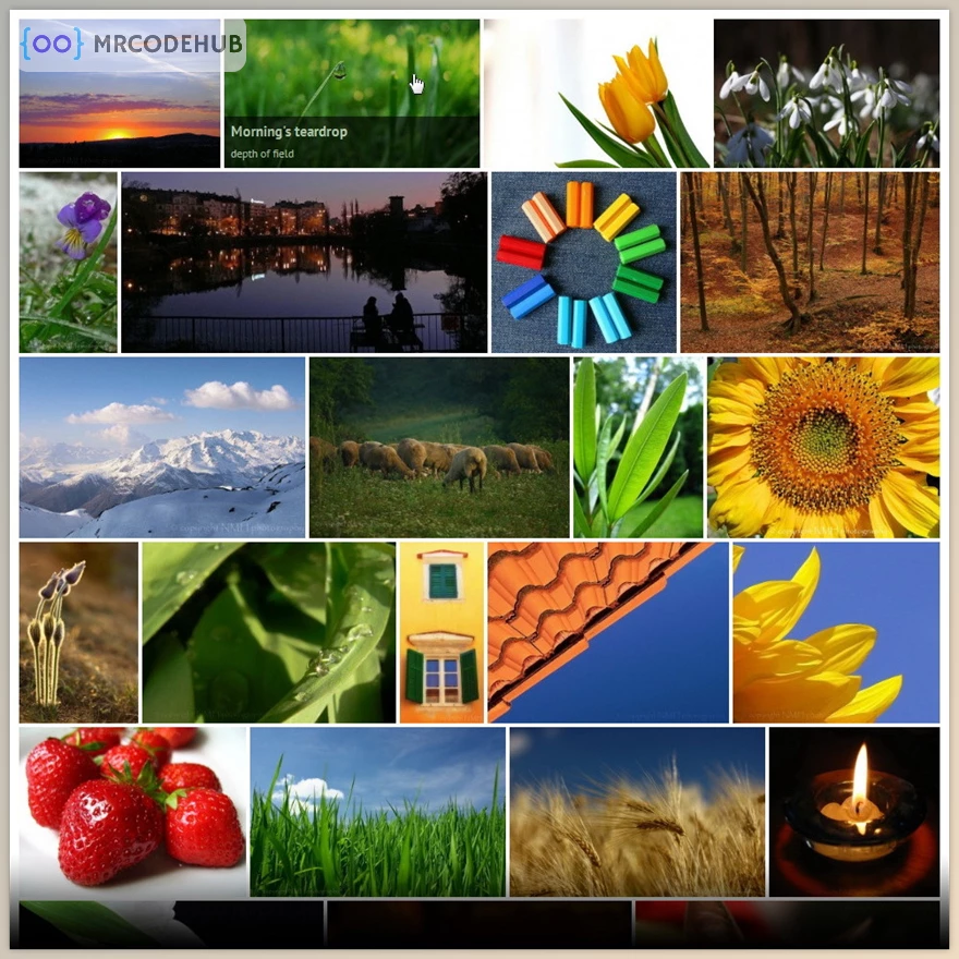 Justified Image Grid