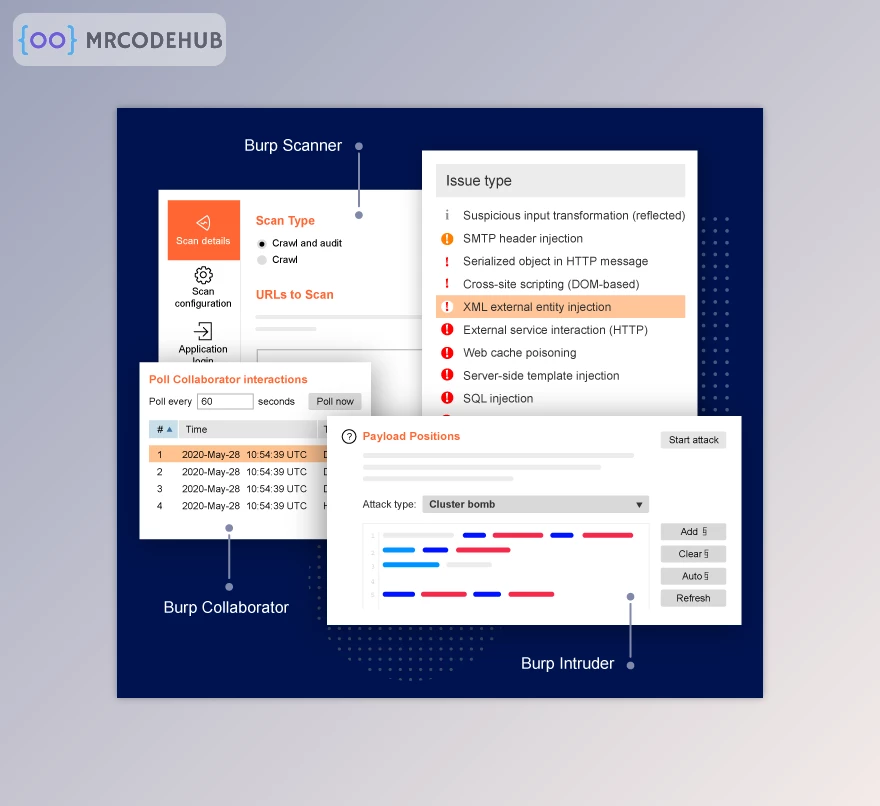 Burp Suite Professional